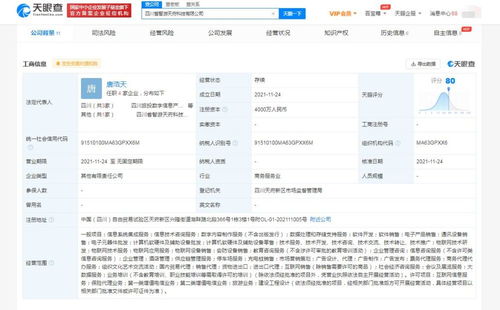 數(shù)字內(nèi)容制作服務(wù) 解鎖品牌傳播新動力